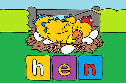 Hen