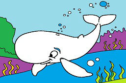 Biela veľryba