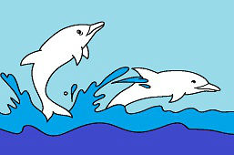 Biele delfíny