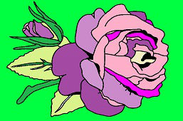 Fialová ruža