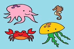 Živočíchy v mori