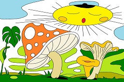 Krásne hríby
